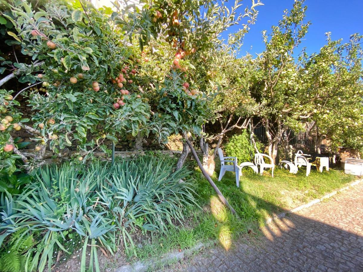 Apartamento Casa Da Risca Unhais Da Serra Exterior foto